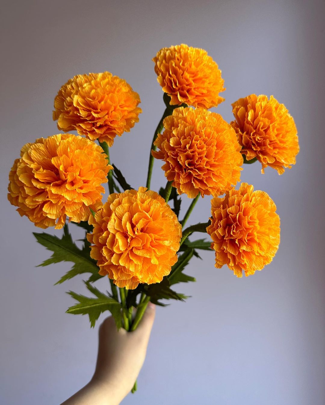 Bright orage marigold flower with a vibrant green stem.