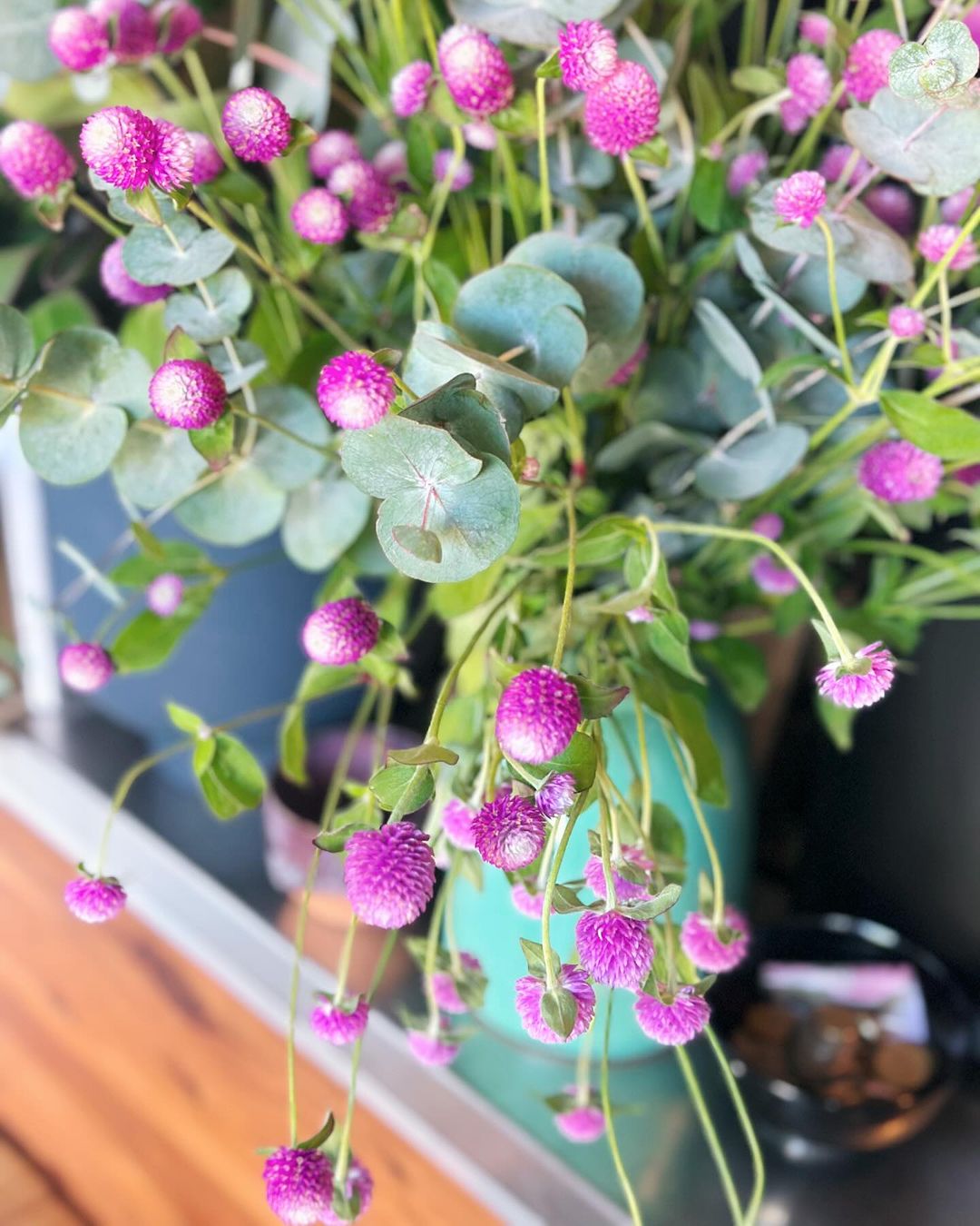 A vibrant bouquet of purple Globe Amaranth flowers elegantly arranged in a decorative vase