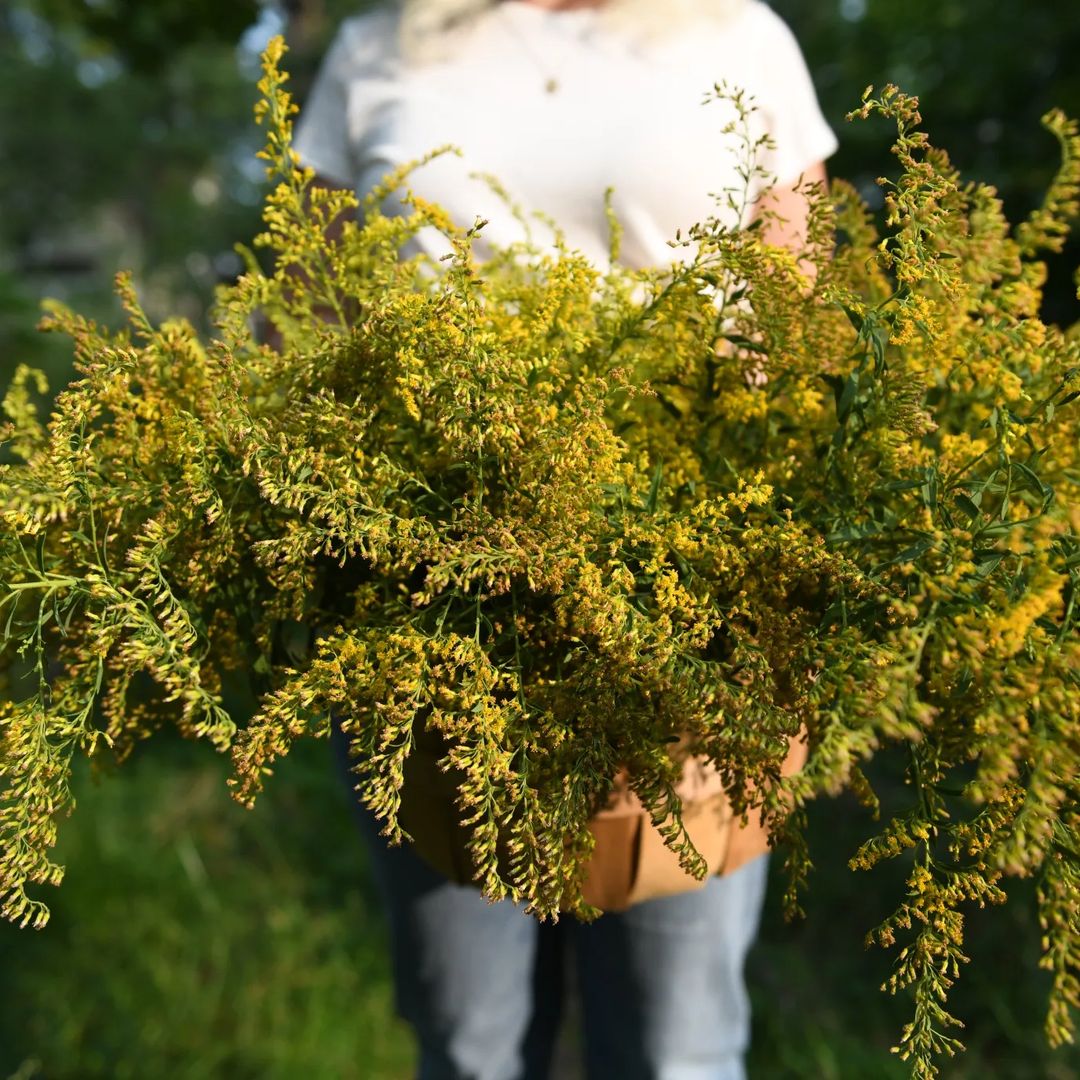  A woman stands gracefully, holding a basket filled with vibrant goldenrod flowers, radiating warmth and beauty.